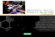 Laboratory Skills Activity 2.3: Kool-Aid Column Chromatography