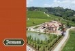 About Jermann Jermann Winery was founded by Austrian-born Anton Jermann in 1881 in the province of Gorizia in the region of Friuli. Today the winery is