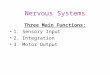 Nervous Systems Three Main Functions: 1. Sensory Input 2. Integration 3. Motor Output