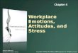 Workplace Emotions, Attitudes, and Stress McGraw-Hill/Irwin McShane/Von Glinow OB 5e Copyright © 2010 by The McGraw-Hill Companies, Inc. All rights reserved