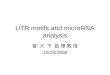 UTR motifs and microRNA analysis 曾 大 千 助 理 教 授 10/28/2008
