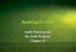 Auditing 81.3550 Audit Planning and the Audit Program Chapter 10 Audit Planning and the Audit Program Chapter 10