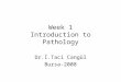Week 1 Introduction to Pathology Dr.İ.Taci Cangül Bursa-2008
