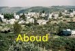 Aboud Aboud X Two thousand five Hundred People live in Aboud. Half of them are Christian Half are Muslim They live together in Peace and Harmony