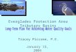 Everglades Protection Area Tributary Basins January 15, 2004 Tracey Piccone, P.E
