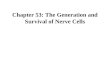 Chapter 53: The Generation and Survival of Nerve Cells
