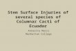 Stem Surface Injuries of several species of Columnar Cacti of Ecuador Annarita Macri Manhattan College
