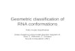 Geometric classification of RNA conformations Potts model classification (Data clustering using model granular magnets M. Blatt, S. Weisman. E. Domany