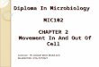 Diploma In Microbiology MIC102 CHAPTER 2 Movement In And Out Of Cell Lecturer: Pn Aslizah Binti Mohd Aris 06-4832100 / 016-7377621