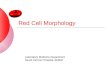 Red Cell Morphology Laboratory Medicine Department Saudi German Hospital-Jeddah