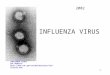 1 INFLUENZA VIRUS CDC WEBSITE  2002