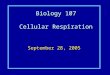 Biology 107 Cellular Respiration September 28, 2005