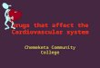 Drugs that affect the Cardiovascular system Chemeketa Community College