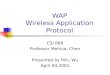 WAP Wireless Application Protocol CSI 668 Professor Meihua, Chen Presented by Min, Wu April 04,2001