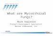 What are Mycorrhizal Fungi? Mark Howieson Product Development Specialist Becker Underwood, Inc