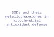 SODs and their metallochaperones in mitochondrial antioxidant defense