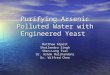 Purifying Arsenic Polluted Water with Engineered Yeast Matthew Alpert Shailendra Singh Shen-Long Tsai Dr. Ashok Mulchandani Dr. Wilfred Chen