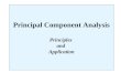 Principal Component Analysis Principles and Application