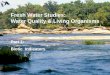 Part 1: Biotic Indicators Fresh Water Studies: Water Quality & Living Organisms