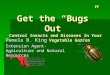 Get the “Bugs” Out Control Insects and Diseases in Your Vegetable Garden Pamela B. King Extension Agent- Agriculture and Natural Resources