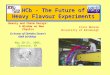 LHCb - The Future of Heavy Flavour Experiments Franz Muheim University of Edinburgh Beauty and Charm Decays: A Window on New Physics In honor of Sheldon