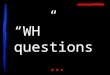 “WH” questions. WHO WHAT WHEN WHERE HOW WHY