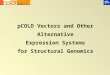 PCOLD Vectors and Other Alternative Expression Systems for Structural Genomics
