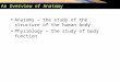 An Overview of Anatomy Anatomy – the study of the structure of the human body Physiology – the study of body function