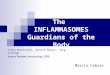 The INFLAMMASOMES Guardians of the Body Fabio Martinion, Annick Mayor, Jurg Tschopp Annual Reviews Immunology 2009 Marcin Cebula