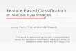 Feature-Based Classification of Mouse Eye Images This work is sponsored by the NIH Interdisciplinary Center for Structural Informatics. National Library