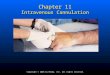 Copyright © 2006 by Mosby, Inc. All rights reserved. Chapter 11 Intravenous Cannulation