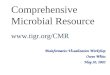 Comprehensive Microbial Resource  Bioinformatics Visualization Workshop Owen White May 30, 2002
