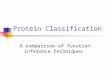 Protein Classification A comparison of function inference techniques