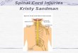 Spinal Cord Injuries Kristy Sandman. Statistics 10,000 every year 183,000 – 230,000 current cases Avg. Age 31.7 years Highest incidence between 15 & 25