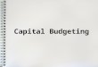 Capital Budgeting. Capital Expenditures Refer to substantial outlay of funds the purpose of which is to lower costs and increase net income for several