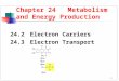 1 24.2 Electron Carriers 24.3 Electron Transport Chapter 24 Metabolism and Energy Production
