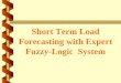 Short Term Load Forecasting with Expert Fuzzy-Logic System