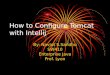 How to Configure Tomcat with Intellij By: Navjot S.Sandhu SW410 Enterprise Java Prof. Lyon