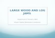 LARGE WOOD AND LOG JAMS Department of Forestry 2004 Stream Habitat Restoration Guidelines