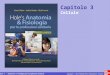 Hole’s – Anatomia & Fisiologia per le professioni sanitarie Copyright © 2013 McGraw-Hill Education (Italy) srl Capitolo 3 Cellule