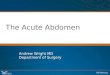 The Acute Abdomen Andrew Wright MD Department of Surgery