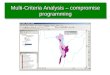 Multi-Criteria Analysis – compromise programming
