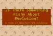 1 Is There Something Fishy About Evolution? A look at biochemical evidence for evolution