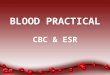 BLOOD PRACTICAL CBC & ESR. Aims of the Practical 1.Counting Red blood cells. 2.Counting White blood cells. 3.Determination of hemoglobin concentration