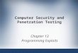 Computer Security and Penetration Testing Chapter 13 Programming Exploits