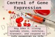 Control of Gene Expression Big Idea 3: Living systems store, retrieve, transmit, and respond to info essential to life processes