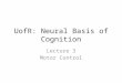 UofR: Neural Basis of Cognition Lecture 3 Motor Control