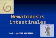 Nematodosis intestinales Prof. ALICIA LAPIERRE. HELMINTOS trematodes PLATHELMINTOS cestodes NEMATHELMINTOS