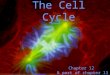 The Cell Cycle Chapter 12 & part of chapter 11. All cells come from pre-existing cells One characteristic that distinguishes living from non-living is