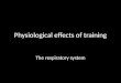 Physiological effects of training The respiratory system